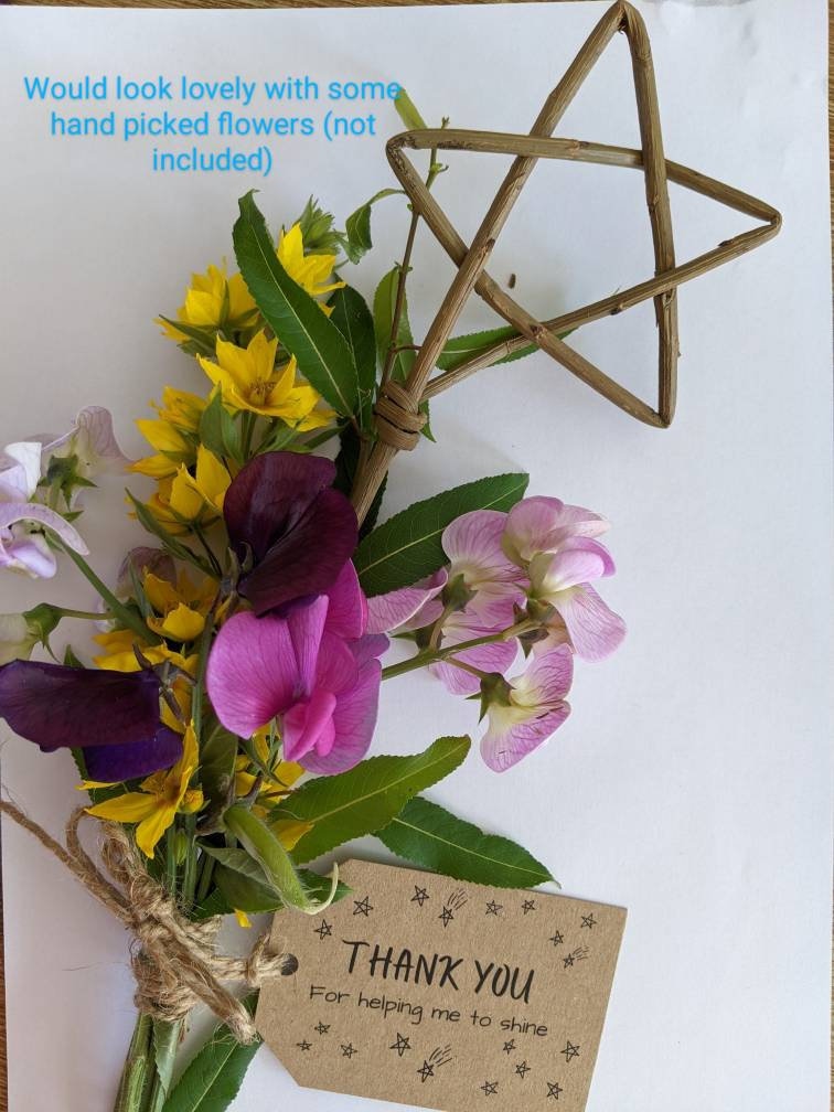 Willow Star Wand, Eco-Friendly Teacher Thank You Gift