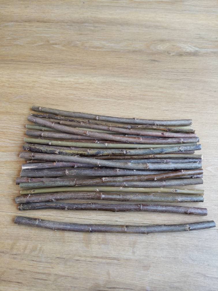 Willow sticks, twigs for craft. Bundle of 20. 10cm- 30cm length. 3-8mm thickness. Natural rustic sticks with bark on.