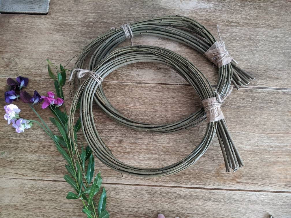 Willow rods for weaving and crafts. Natural brown, buff or white willow. Basketry willow. Black Maul 24 x 4'-5' willow rods. Willow withies
