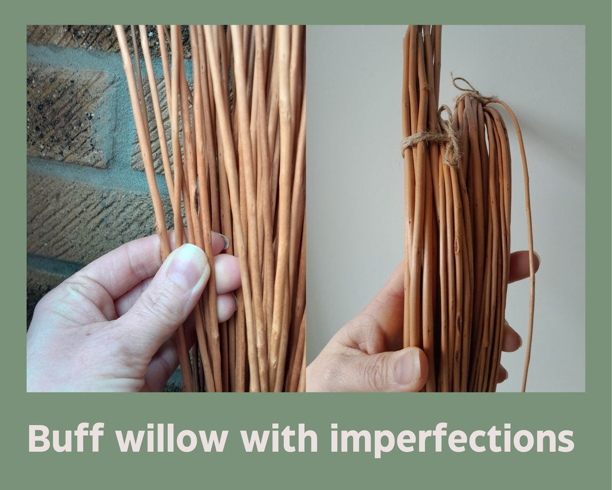 Willow rods for weaving and crafts. Natural brown, buff or white willow. Basketry willow. Black Maul 24 x 4'-5' willow rods. Willow withies