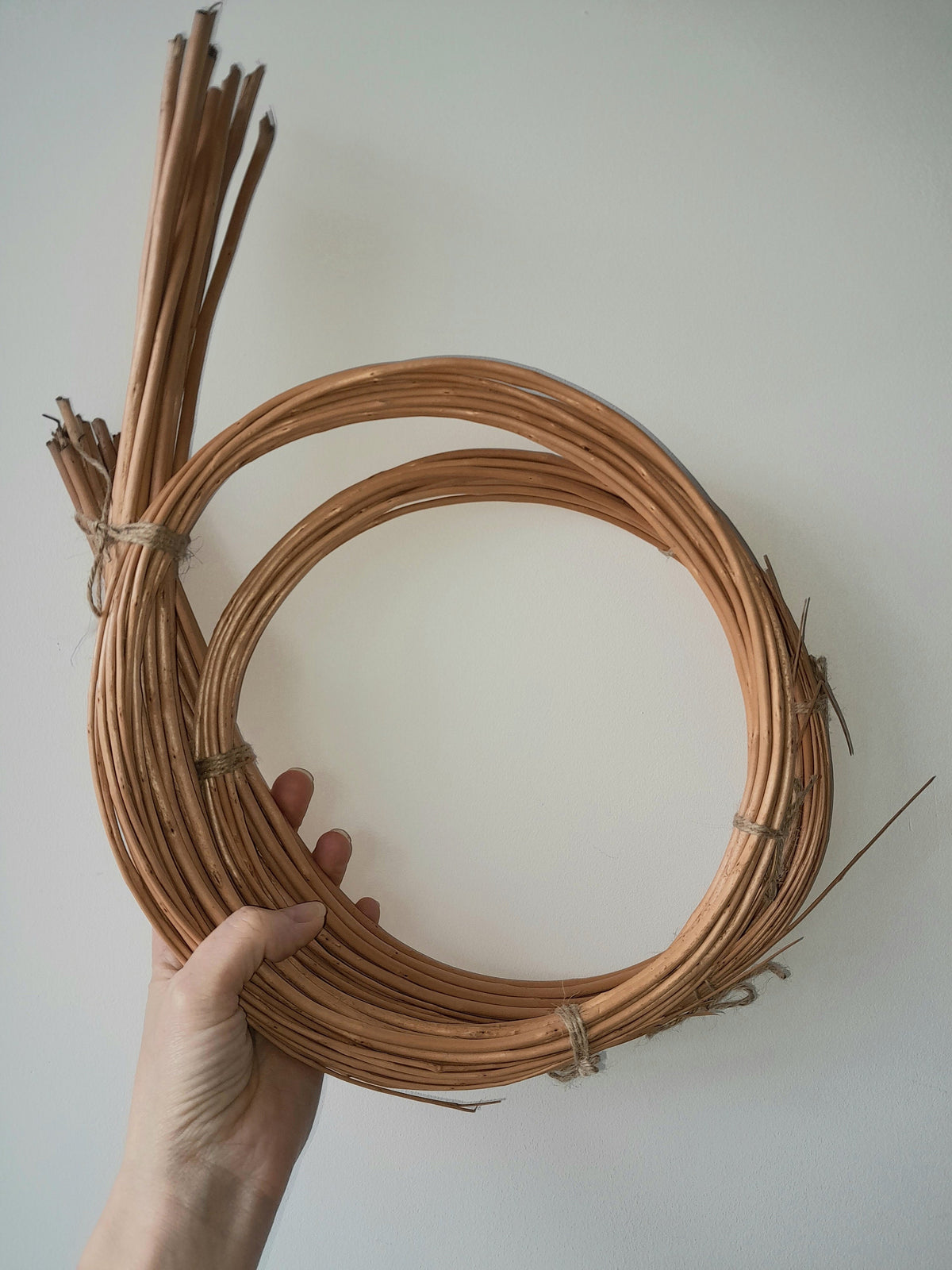 Willow rods for weaving and crafts. Natural brown, buff or white willow. Basketry willow. Black Maul 24 x 4'-5' willow rods. Willow withies