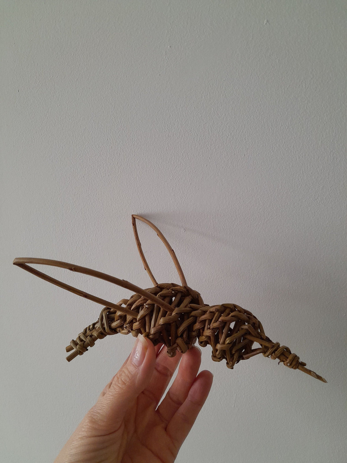 Willow Hummingbird, Eco-friendly Garden Art. Natural Hanging or Border Decoration Gift for Bird Lovers. Sustainable Plant support, Pot Pal