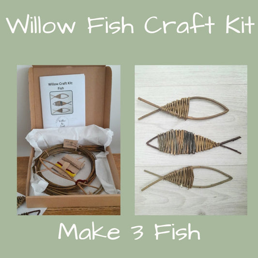 Mini Willow Craft Kit: Make 3 Small Willow Fish, Willow Weaving Kit for Beignners, Adult Craft Kit, Creative Birthday Party Activity