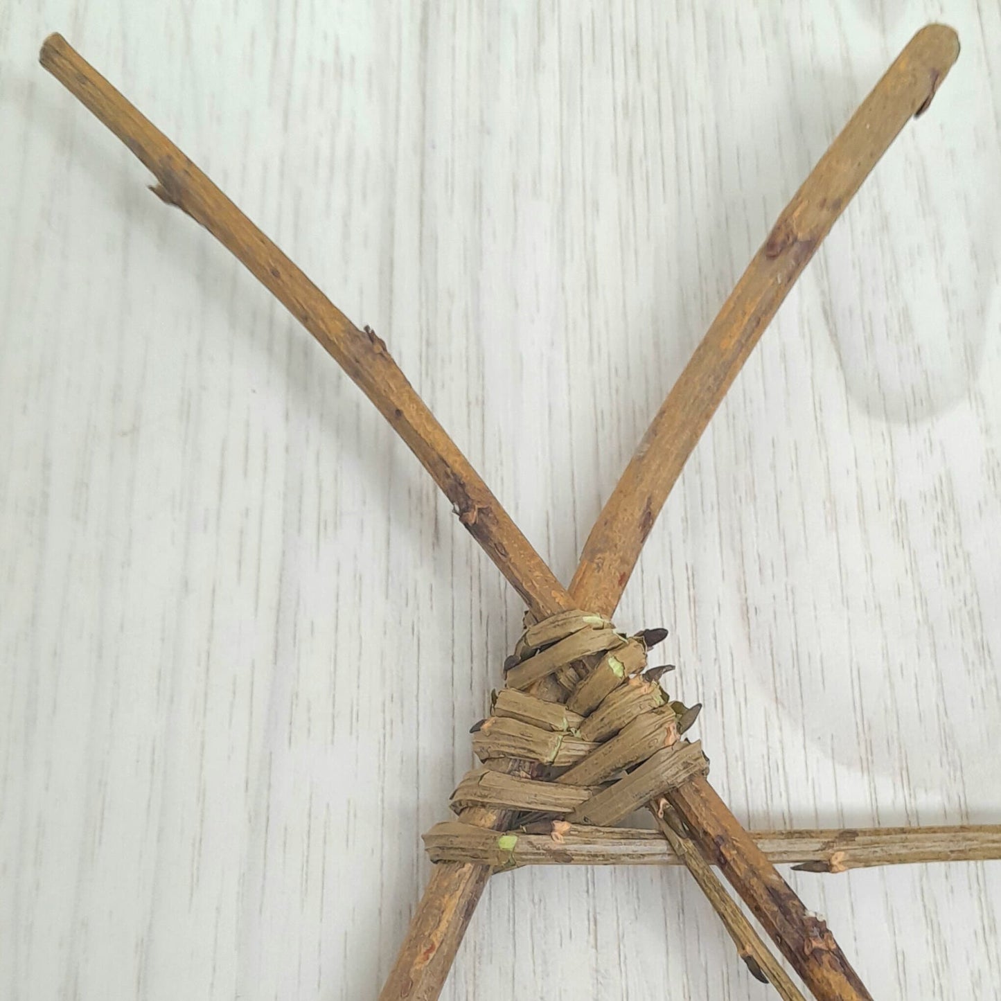 Mini Willow Craft Kit: Make 3 Small Willow Fish, Willow Weaving Kit for Beignners, Adult Craft Kit, Creative Birthday Party Activity