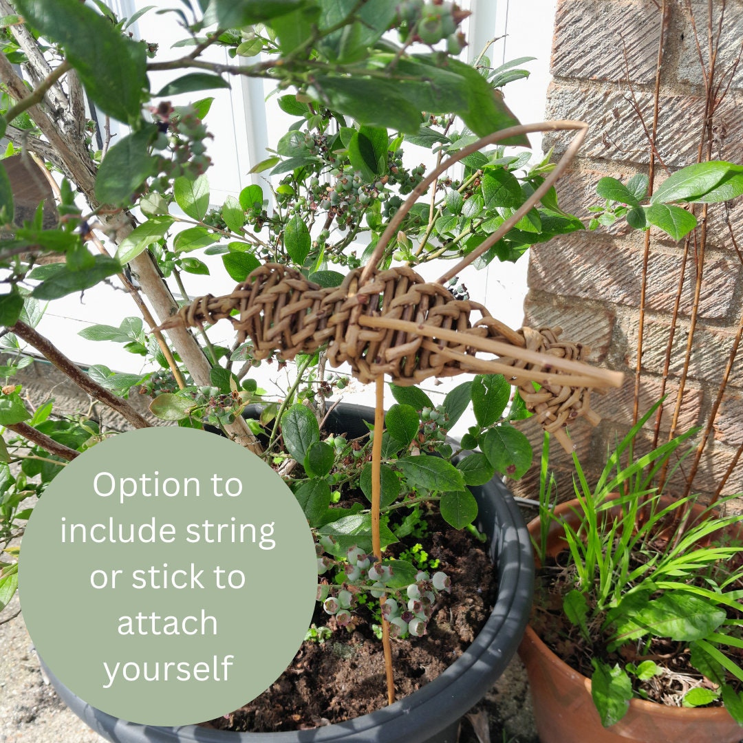 Willow Hummingbird, Eco-friendly Garden Art. Natural Hanging or Border Decoration Gift for Bird Lovers. Sustainable Plant support, Pot Pal