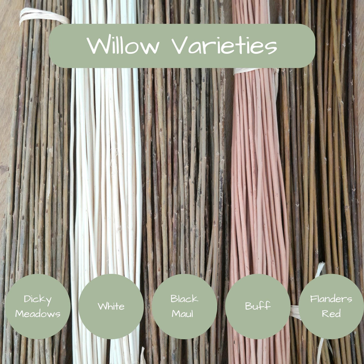Willow rods for weaving and crafts. Natural brown, buff or white willow. Basketry willow. Black Maul 24 x 4'-5' willow rods. Willow withies
