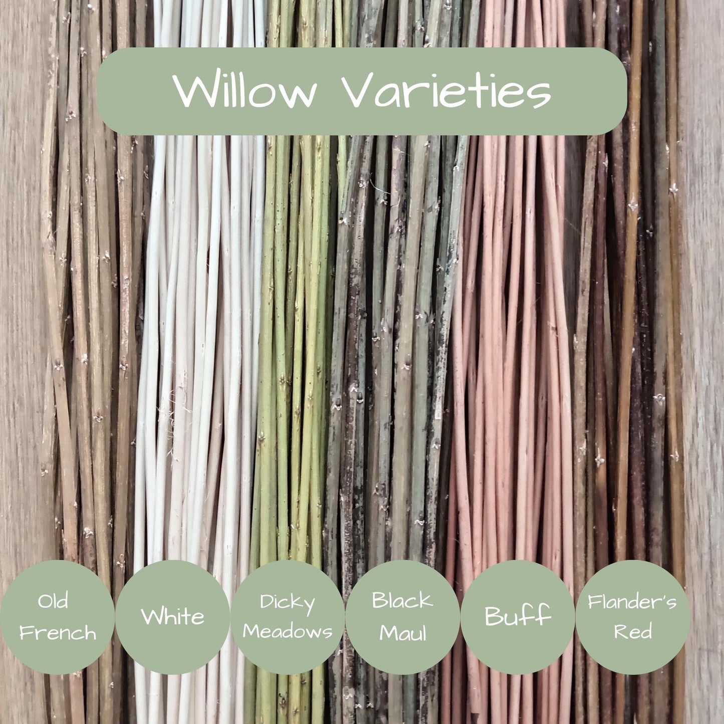 Straight Willow Rods for Weaving and Crafts. Natural Brown, Buff or White Willow. 3 Foot Basketry Willow. 25 x 2'-3' 60-90cm Willow Withies.